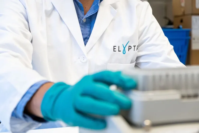 Elypta